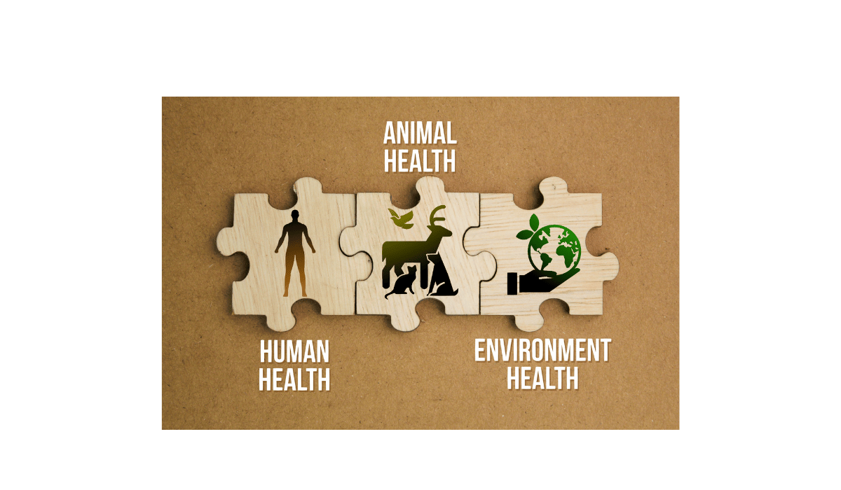Environmental benefits jigsaw
