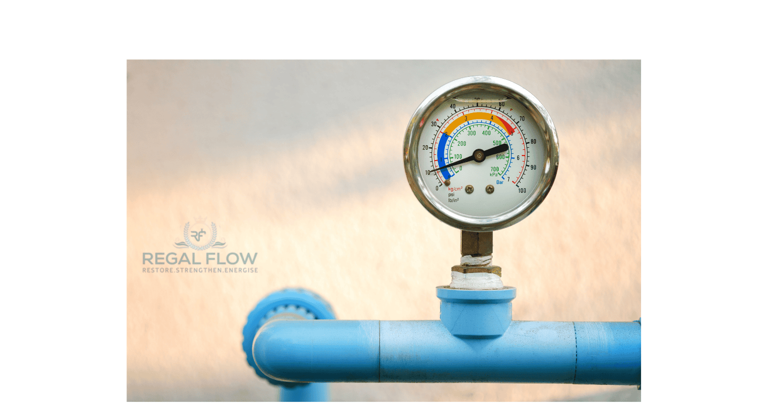 Water pressure gauge and regal flow logo