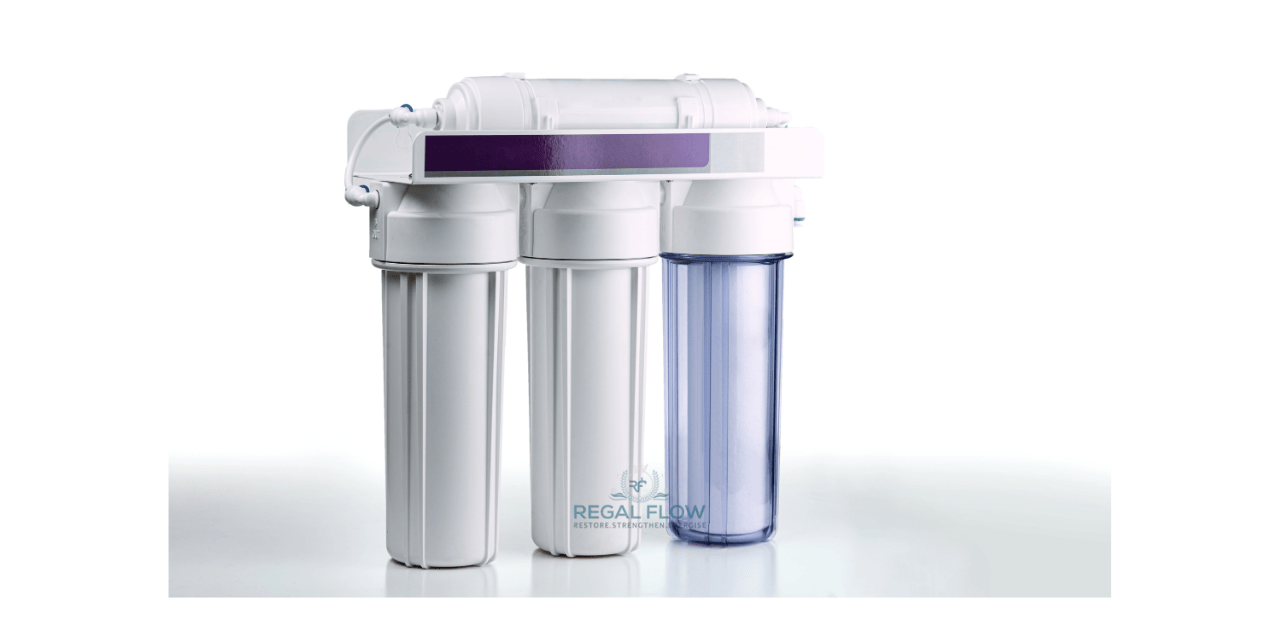 whole house water filter system