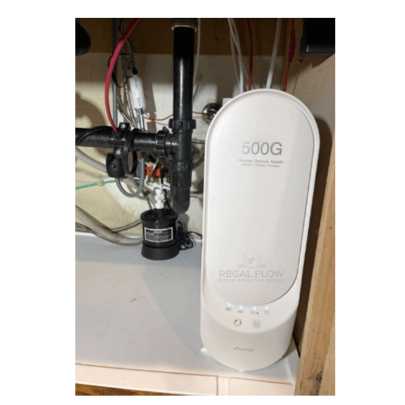 frizzlife undersink ro system installed with a regal flow logo