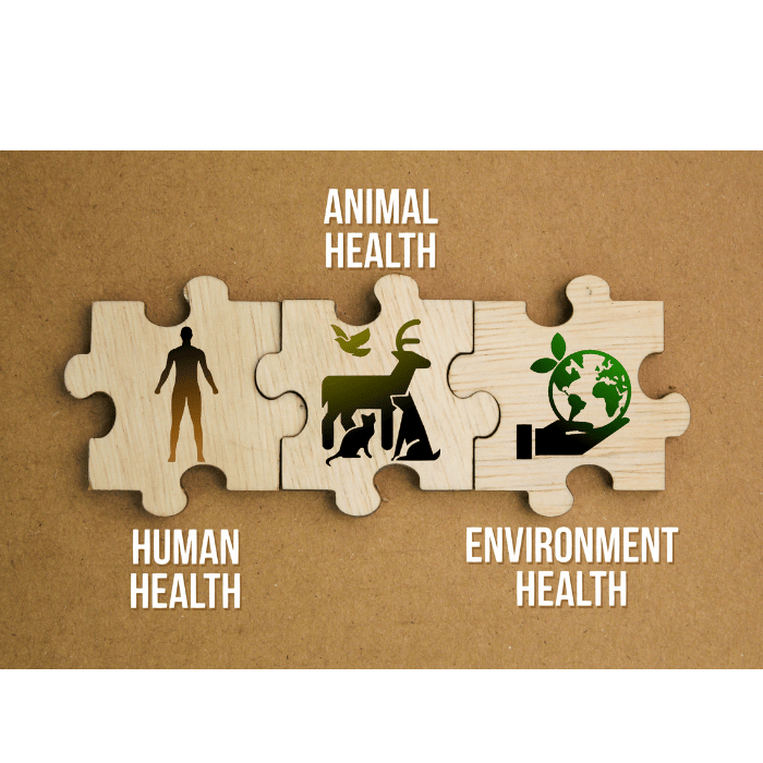 Environmental benefits jigsaw