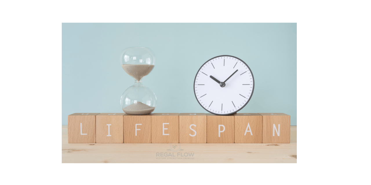 egg timer, clock and lifespan with a regal flow logo