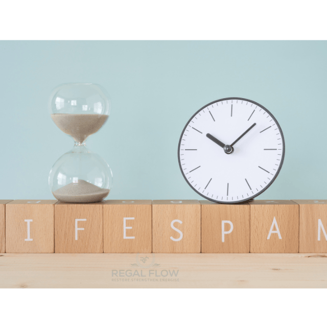 egg timer, clock and lifespan with a regal flow logo