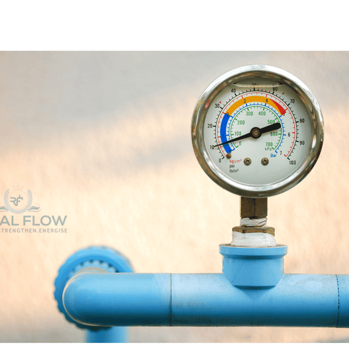 Water pressure gauge and regal flow logo