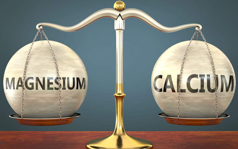 Scales balancing Magnesium and Calcium weights