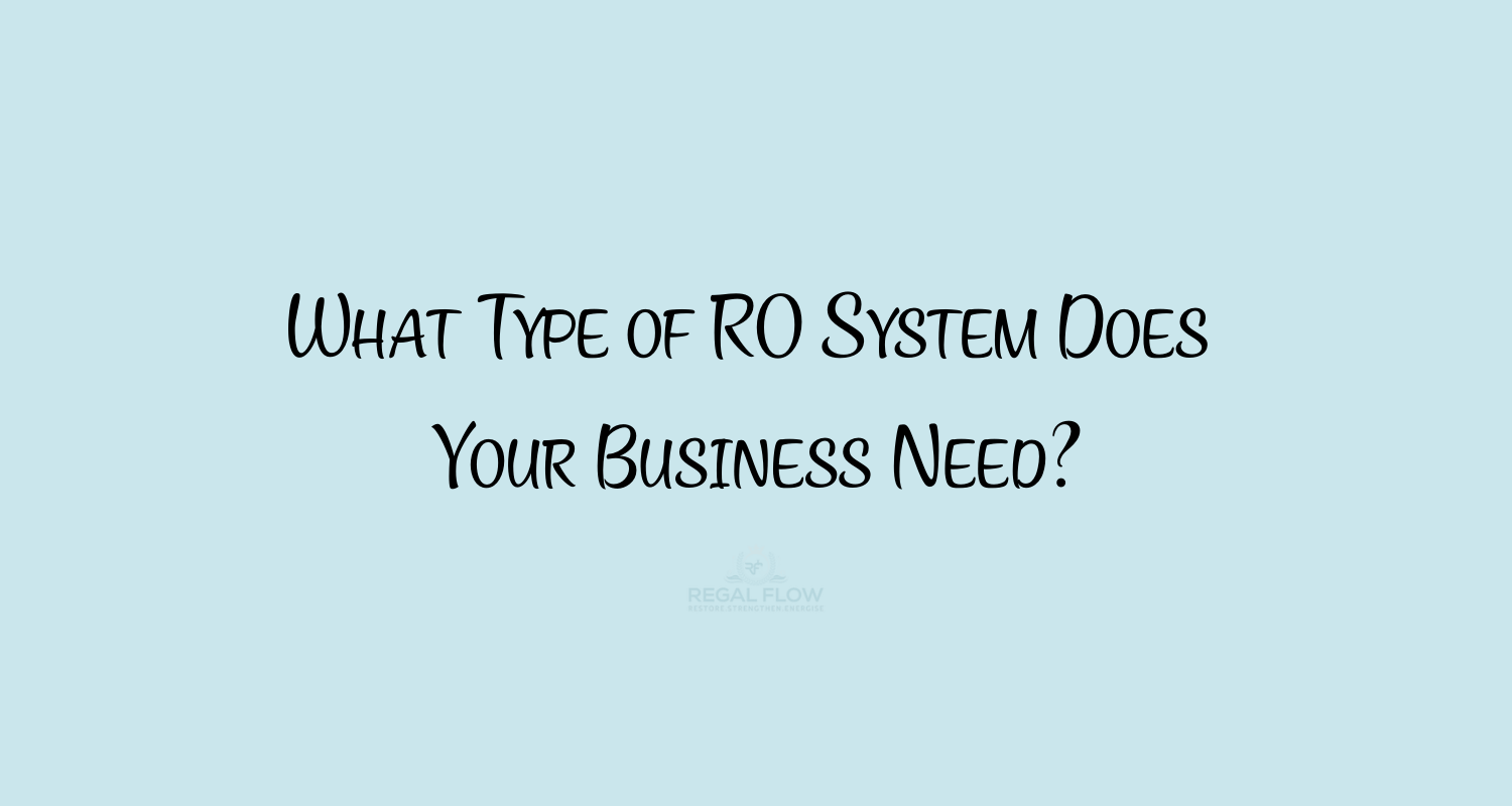 what type of RO System does your business need