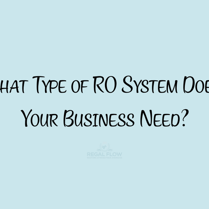 what type of RO System does your business need