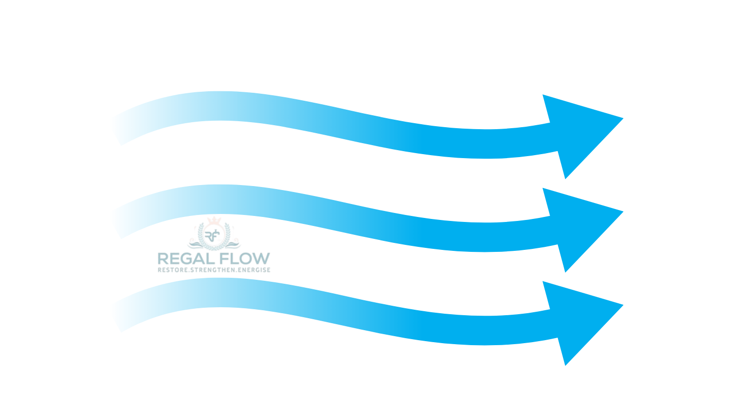 three blue arrows and regal flow logo