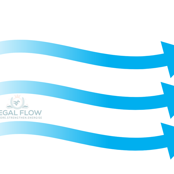 three blue arrows and regal flow logo