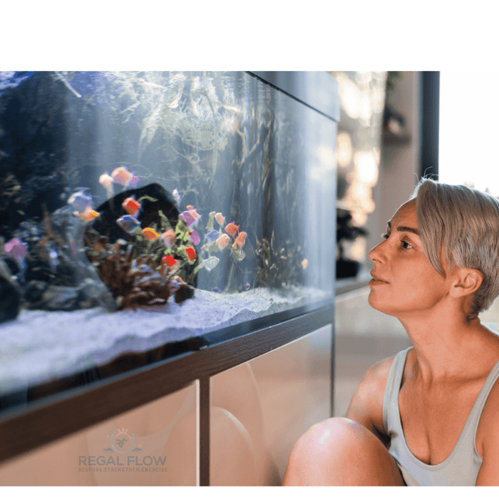 woman looking at an aquarium