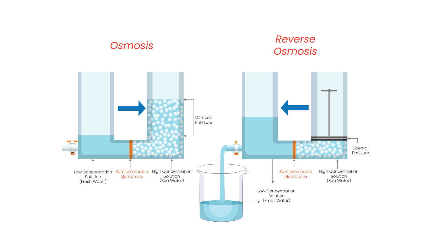 Reverse Osmosis vs Osmosis graphic with regal flow logo