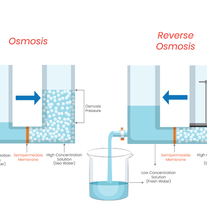 Reverse Osmosis vs Osmosis graphic with regal flow logo