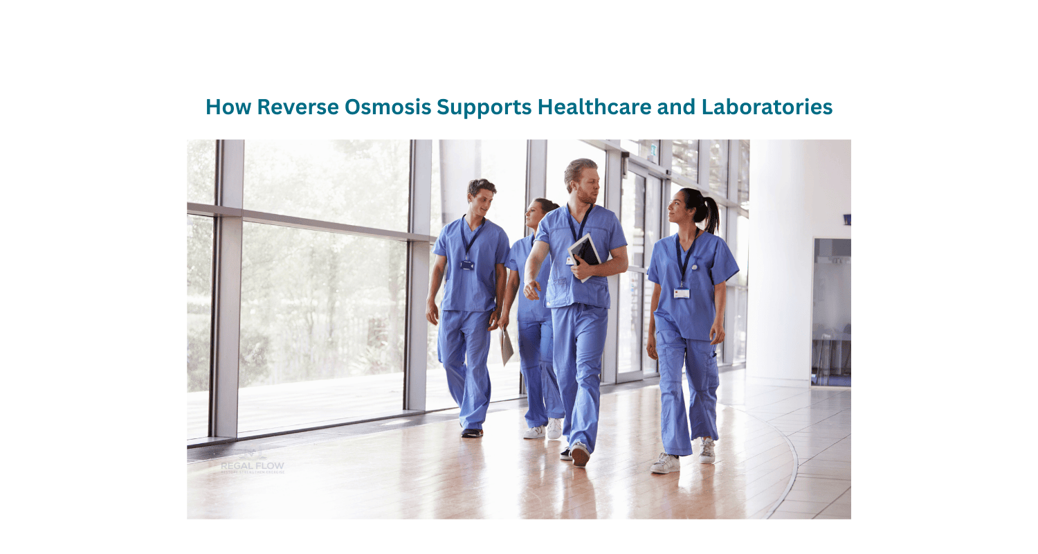 Healthcare professionals in blue coats