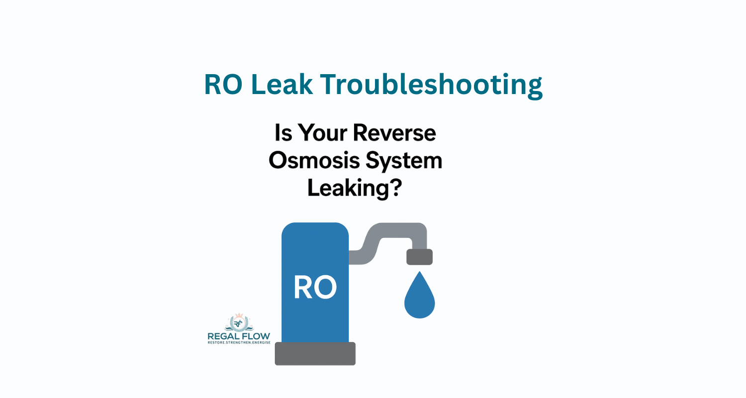 A graphic about reverse osmosis leaking and troubleshooting