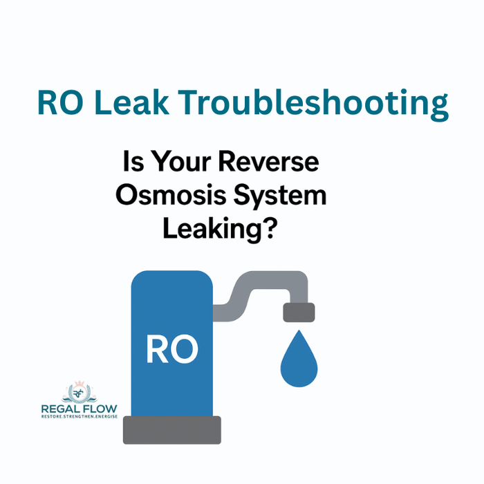 A graphic about reverse osmosis leaking and troubleshooting