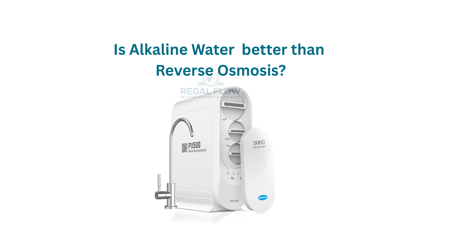 Under sink ro system with alkaline filter