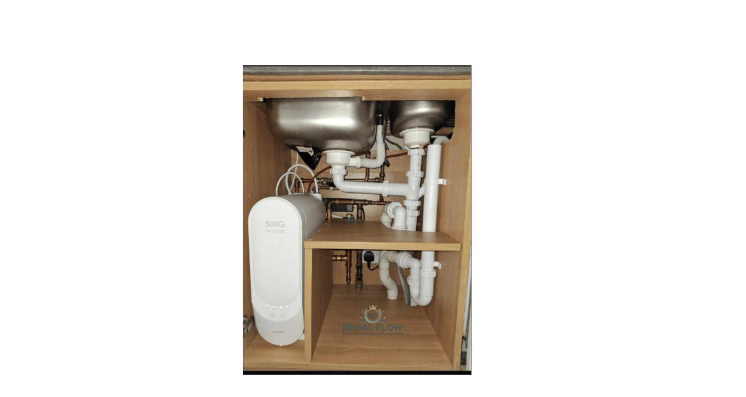 Frizzlife undersink ro system installed
