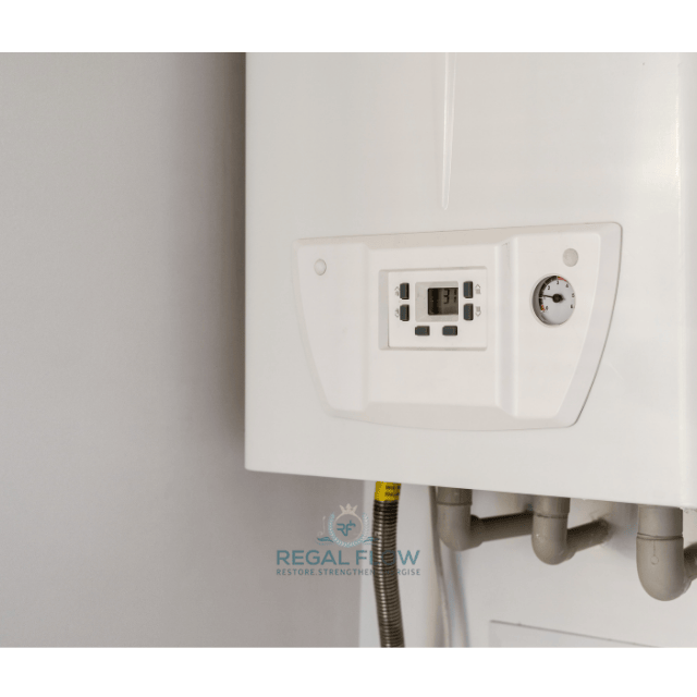 Water heater and regal flow logo