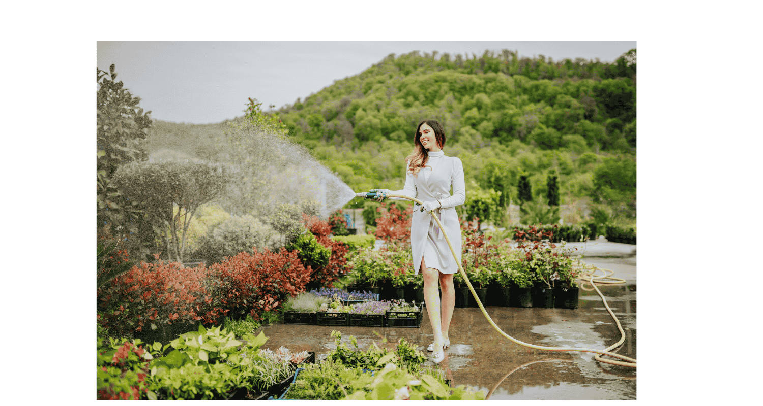 A lady watering a garden