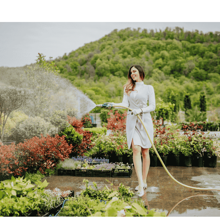 A lady watering a garden