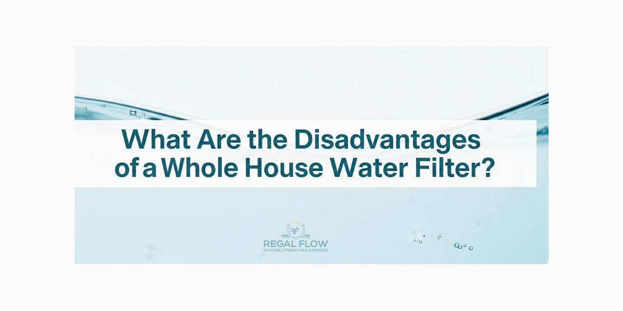 what are the disadvantages of a whole house water filter and regal flow logo