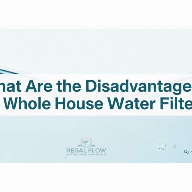 what are the disadvantages of a whole house water filter and regal flow logo