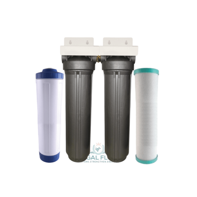 whole house filter system with regal flow logo