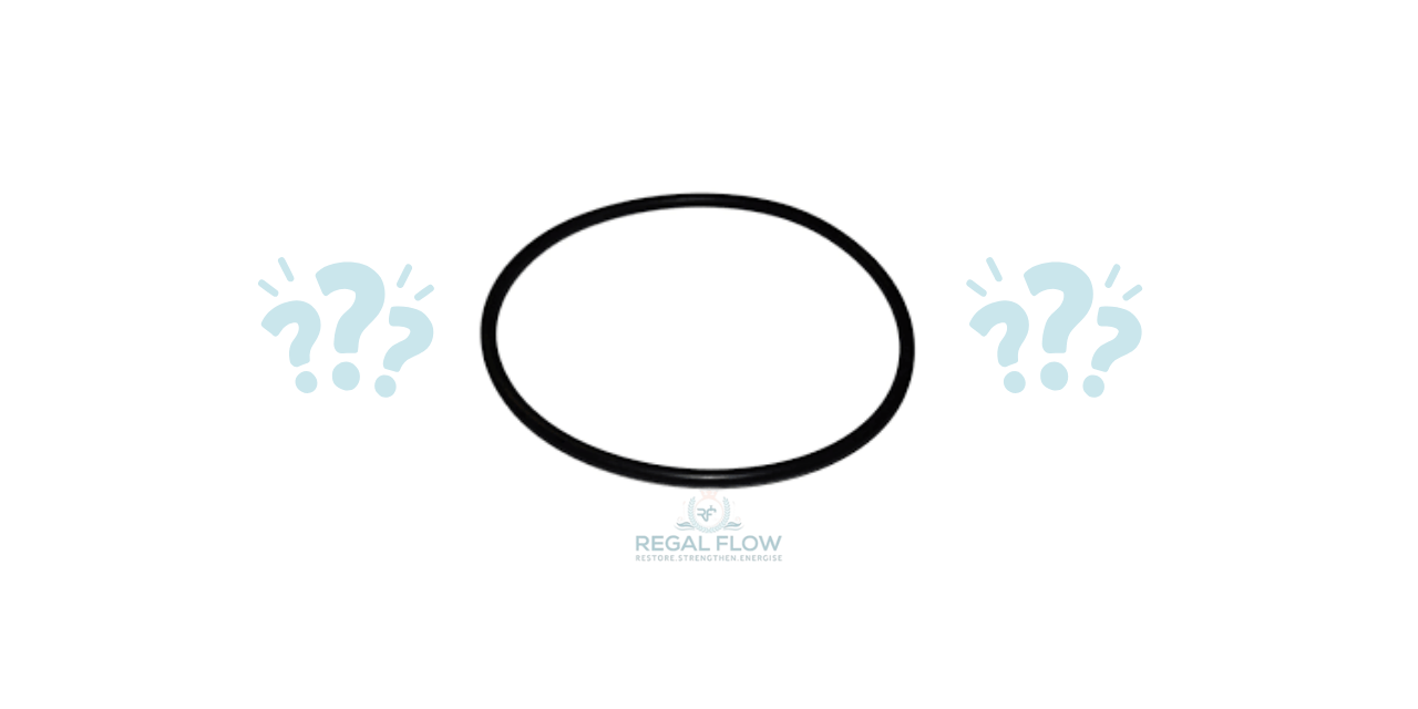 O rings for whole house water filter with quetsion marks and regal flow logo