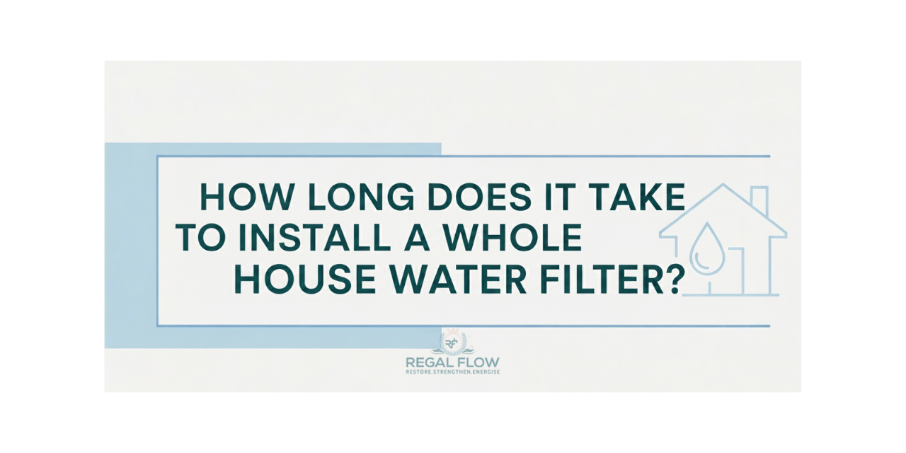 how long does it take to install a whole house water filter and regal flow logo