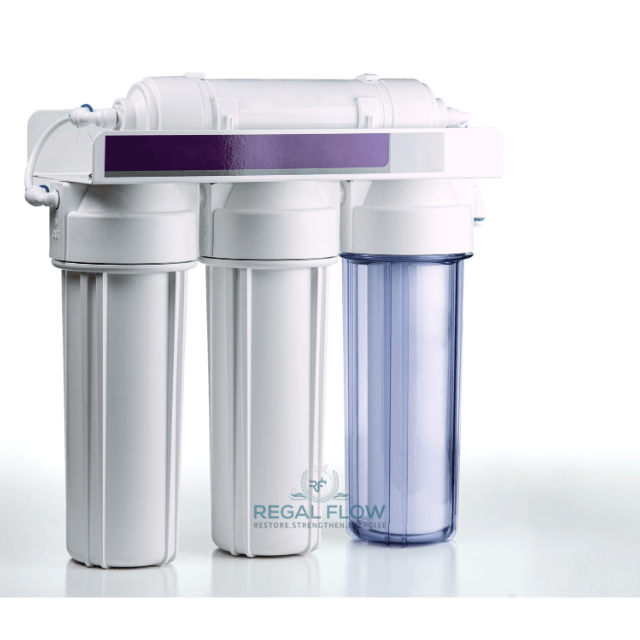 whole house water filter system