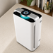 White air purifier on a carpeted floor with a bookshelf and plants in the background