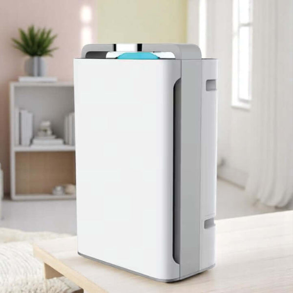 Compact air purifier and humidifier combo with digital display