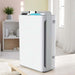 Compact air purifier and humidifier combo with digital display